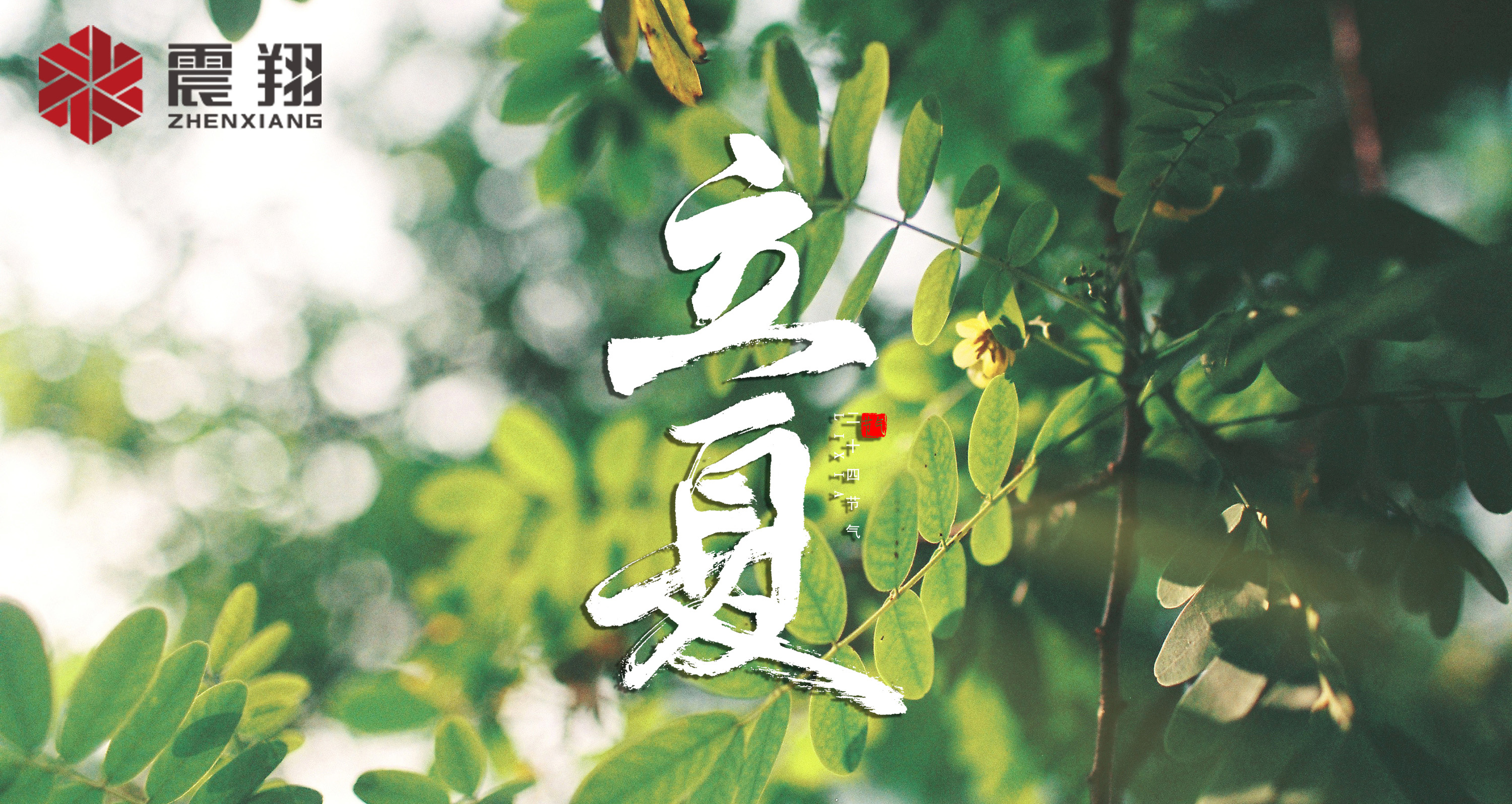 【立夏】春去春來不曾留意，夏日當(dāng)歸，撲面而來