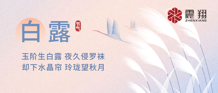 白露|露已凝，夜微涼