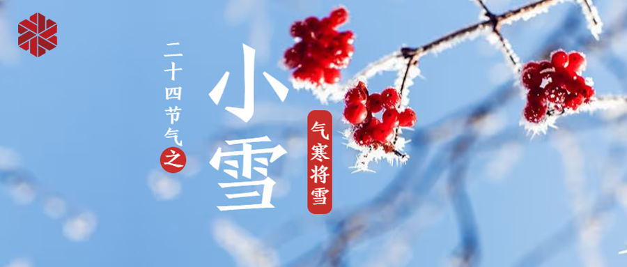 小雪 | 地寒未甚，氣寒將雪